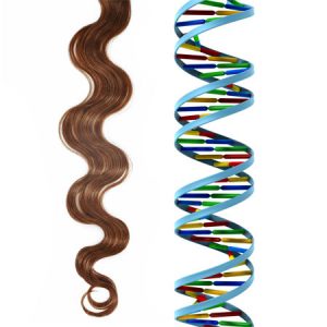 DNA Hair γενετική μηχανική